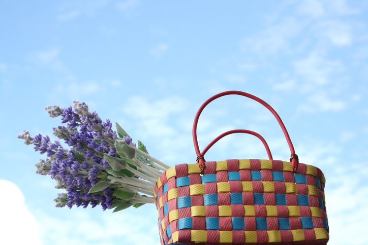 lavender in the colorful basket with blue sky background